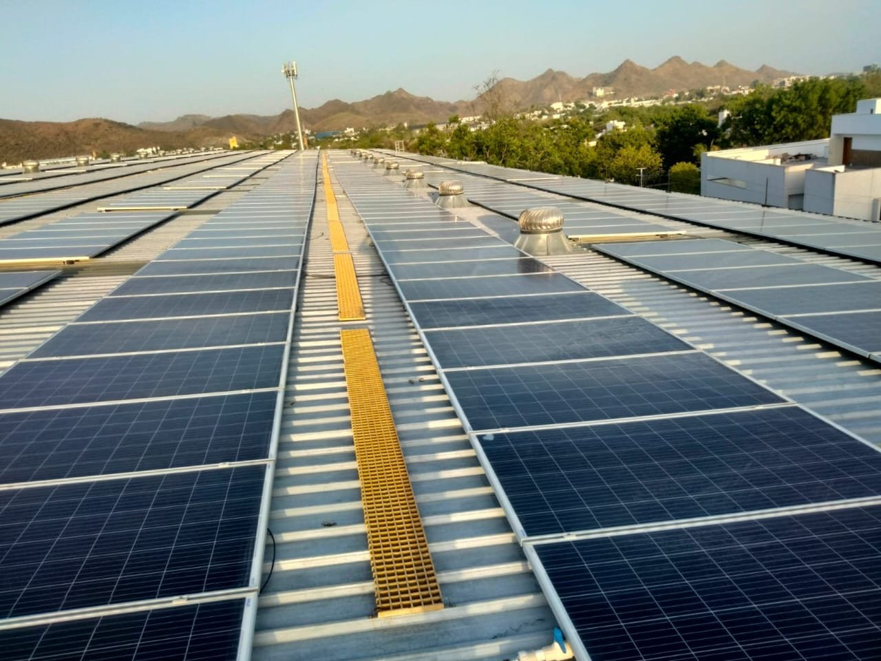 WhatsApp Image 2025-03-06 at 11.29.59